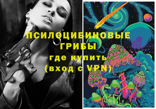 ПСИЛОЦИБИНОВЫЕ ГРИБЫ Абаза