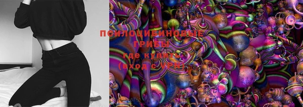 ПСИЛОЦИБИНОВЫЕ ГРИБЫ Абаза