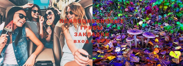 ПСИЛОЦИБИНОВЫЕ ГРИБЫ Абаза