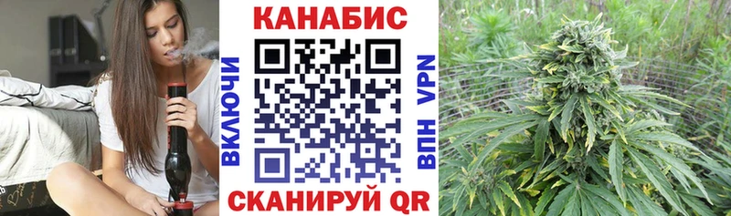 Бошки Шишки ГИДРОПОН  Починок 